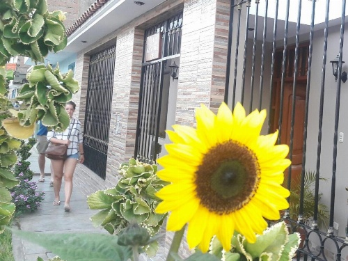 Nasca Travel One Hostel image 14